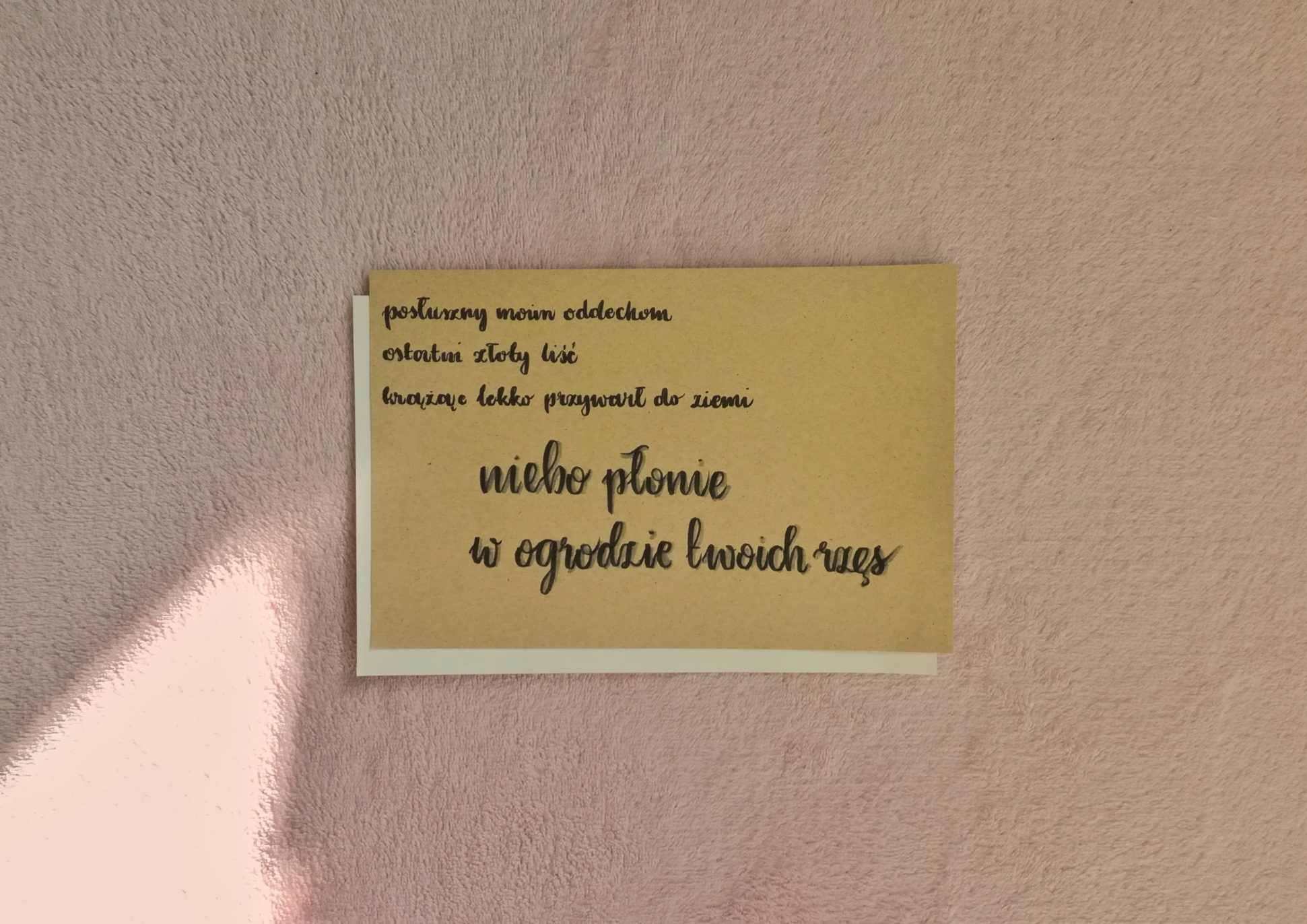 52 lata temu odeszła Halina Poświatowska