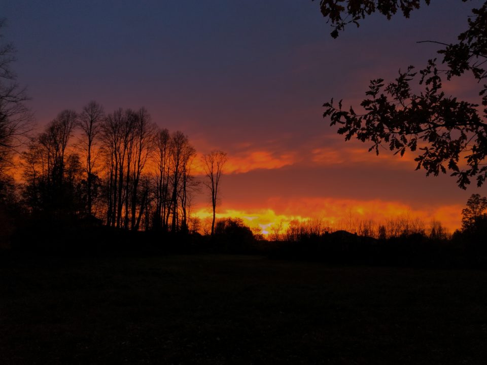 Milczący towarzysz naszego dzieciństwa