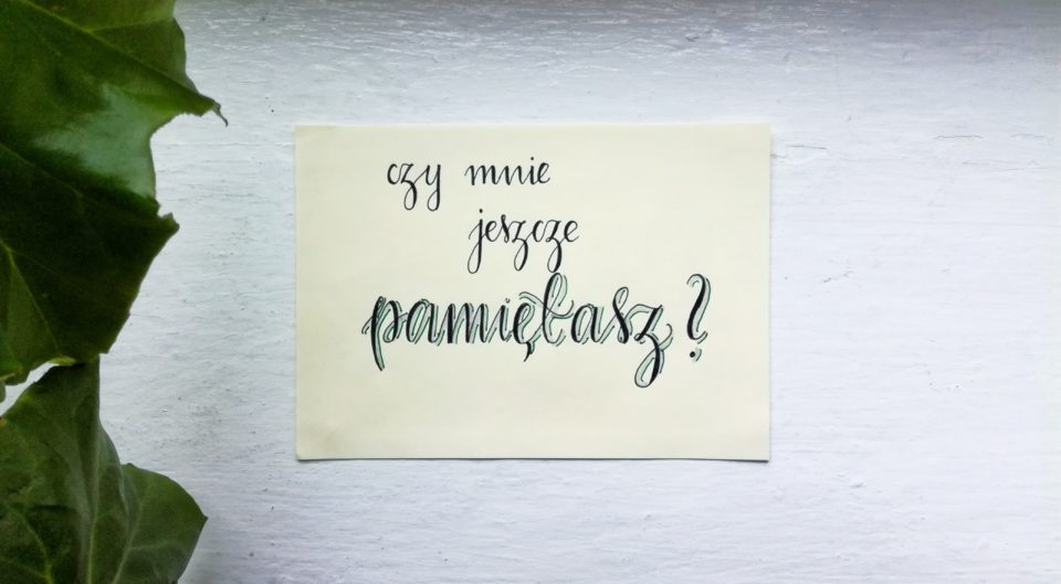 16 lat bez Czesława Niemena