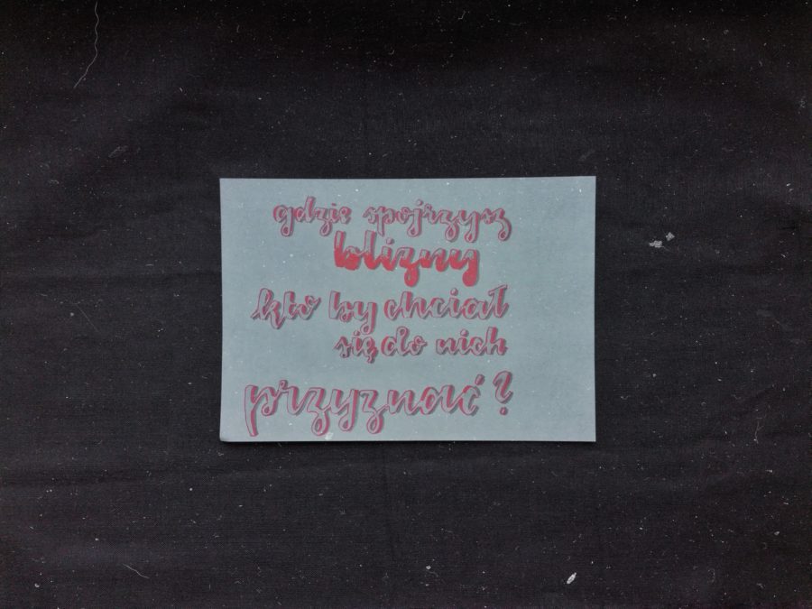 Piosenki mojego życia – Renata Przemyk