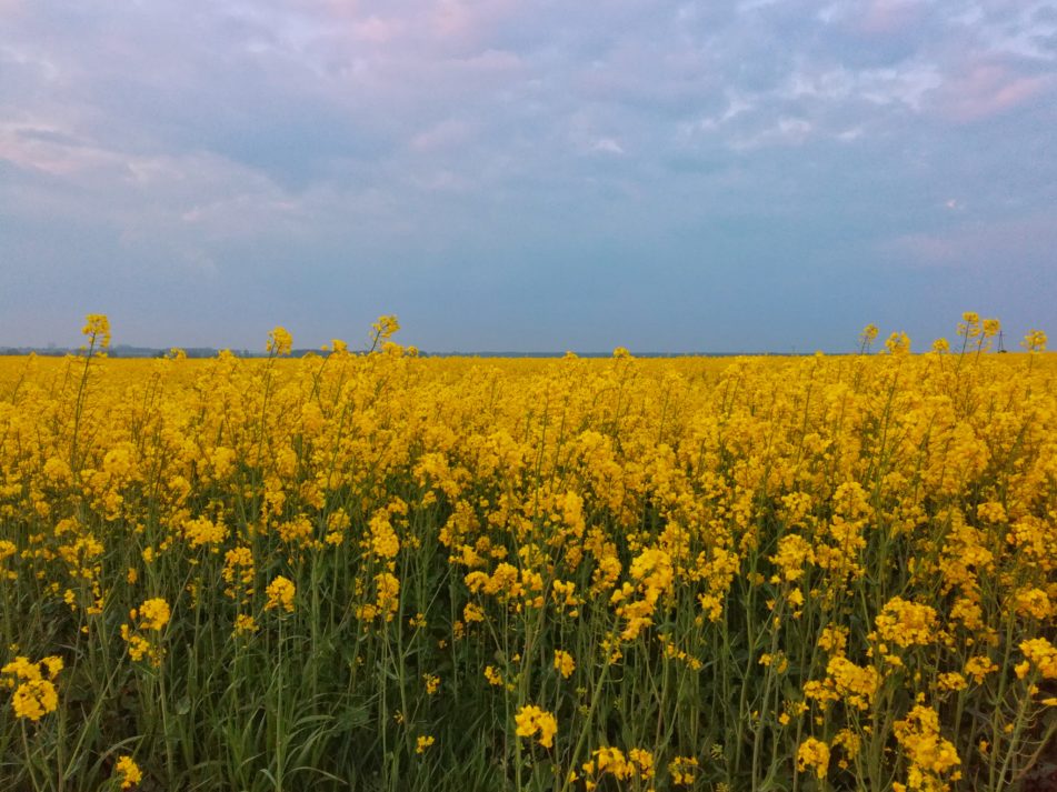 „Z wiosną zawsze [mi] było do twarzy”