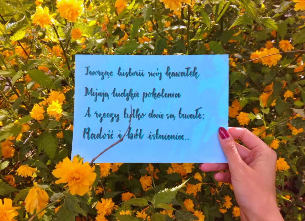 30 maja urodziła się Alicja Majewska