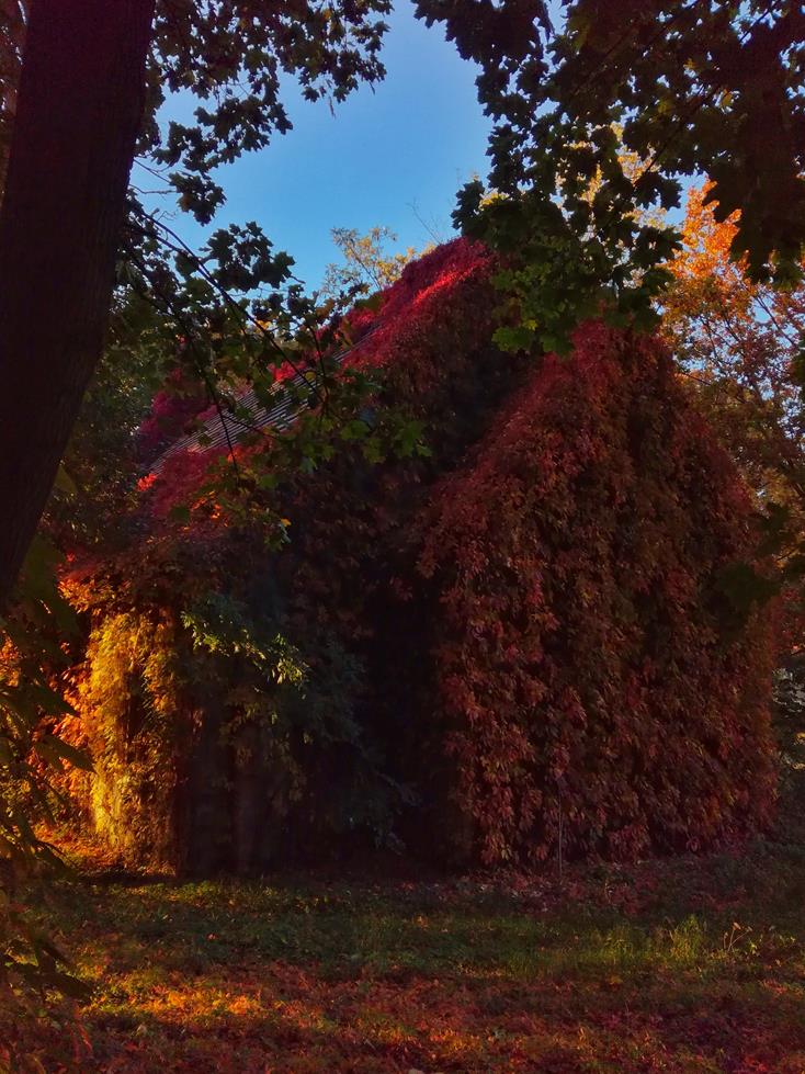 Kaplica szpitala psychiatrycznego Bolesławiec